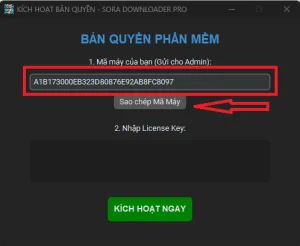 Giao diện kích hoạt bản quyền Sora Downloader Pro